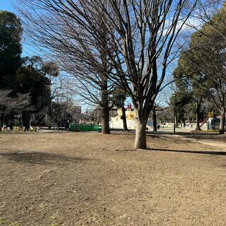 飛鳥山公園の写真23