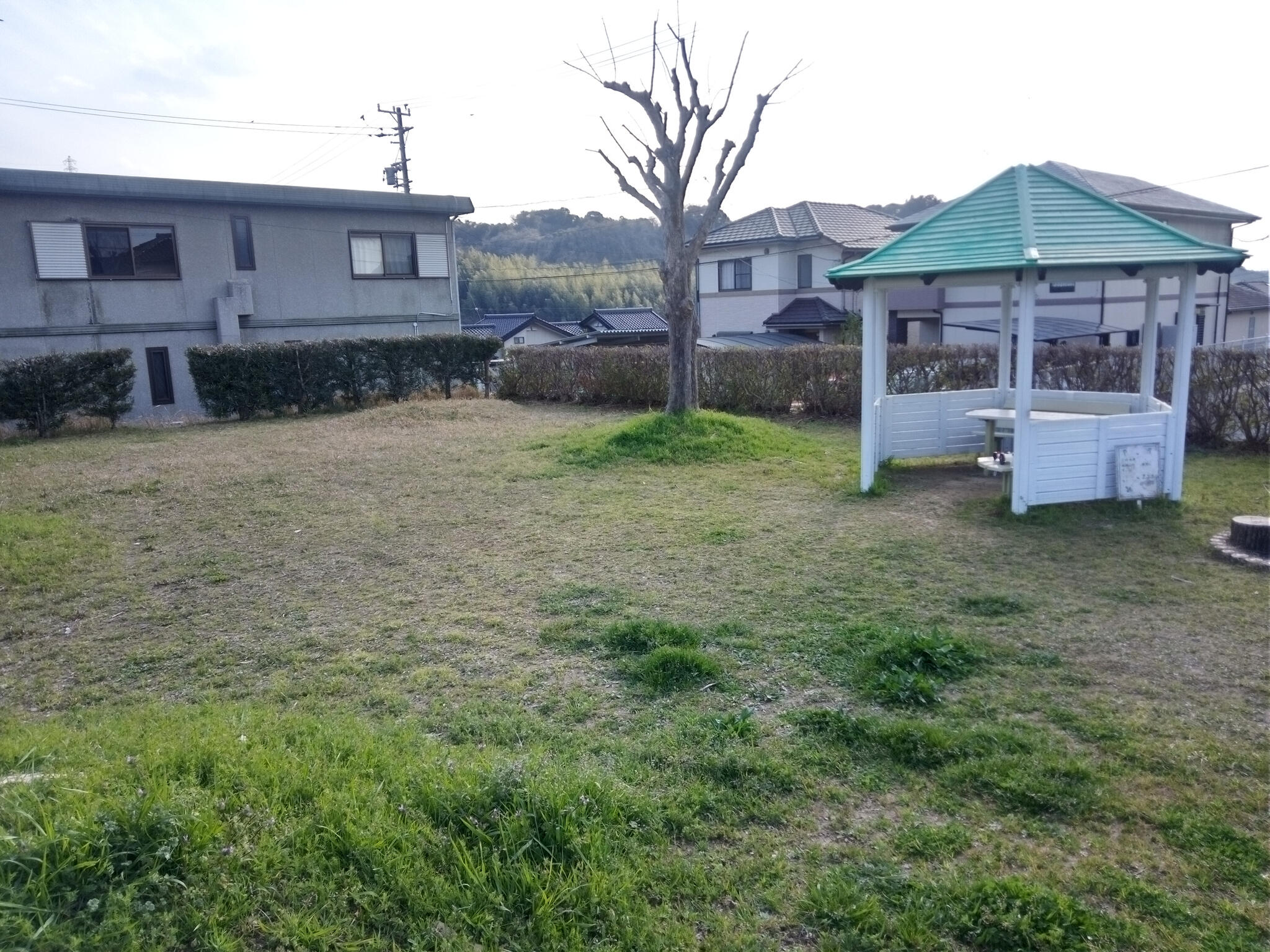 神宮寺古墳公園の代表写真3