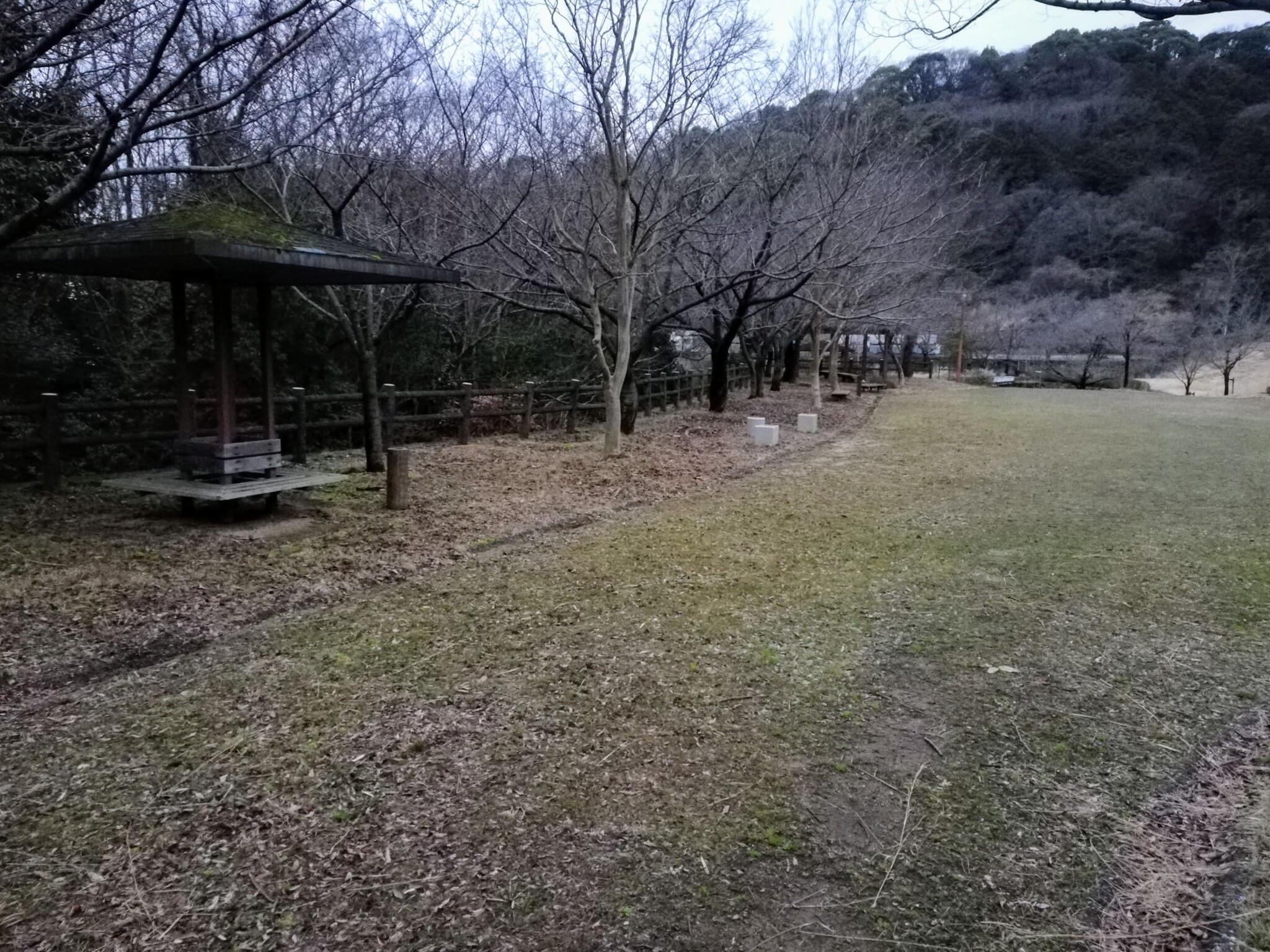 きたやま公園の代表写真1