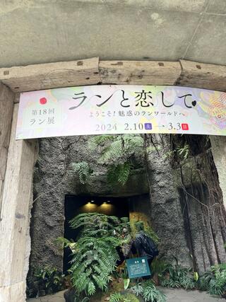 高知県立牧野植物園のクチコミ写真3