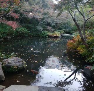 池田山公園のクチコミ写真2