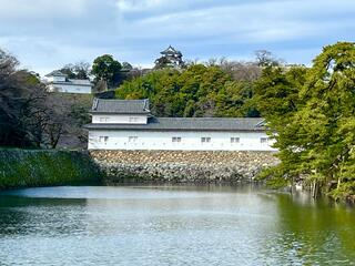 彦根城のクチコミ写真2