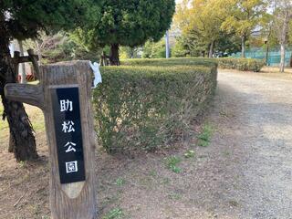 助松公園のクチコミ写真1