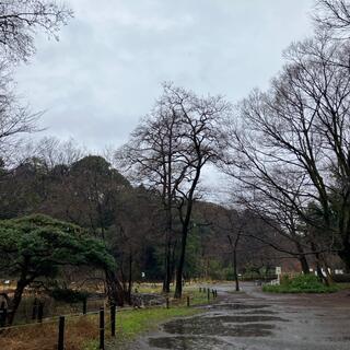 石神井公園の写真18