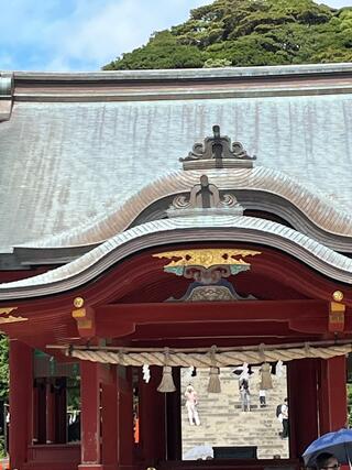 鶴岡八幡宮のクチコミ写真1