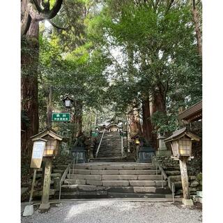 高千穂神社の写真13