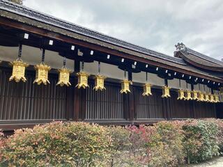 下鴨神社のクチコミ写真1