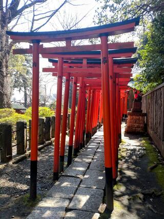 根津神社のクチコミ写真4