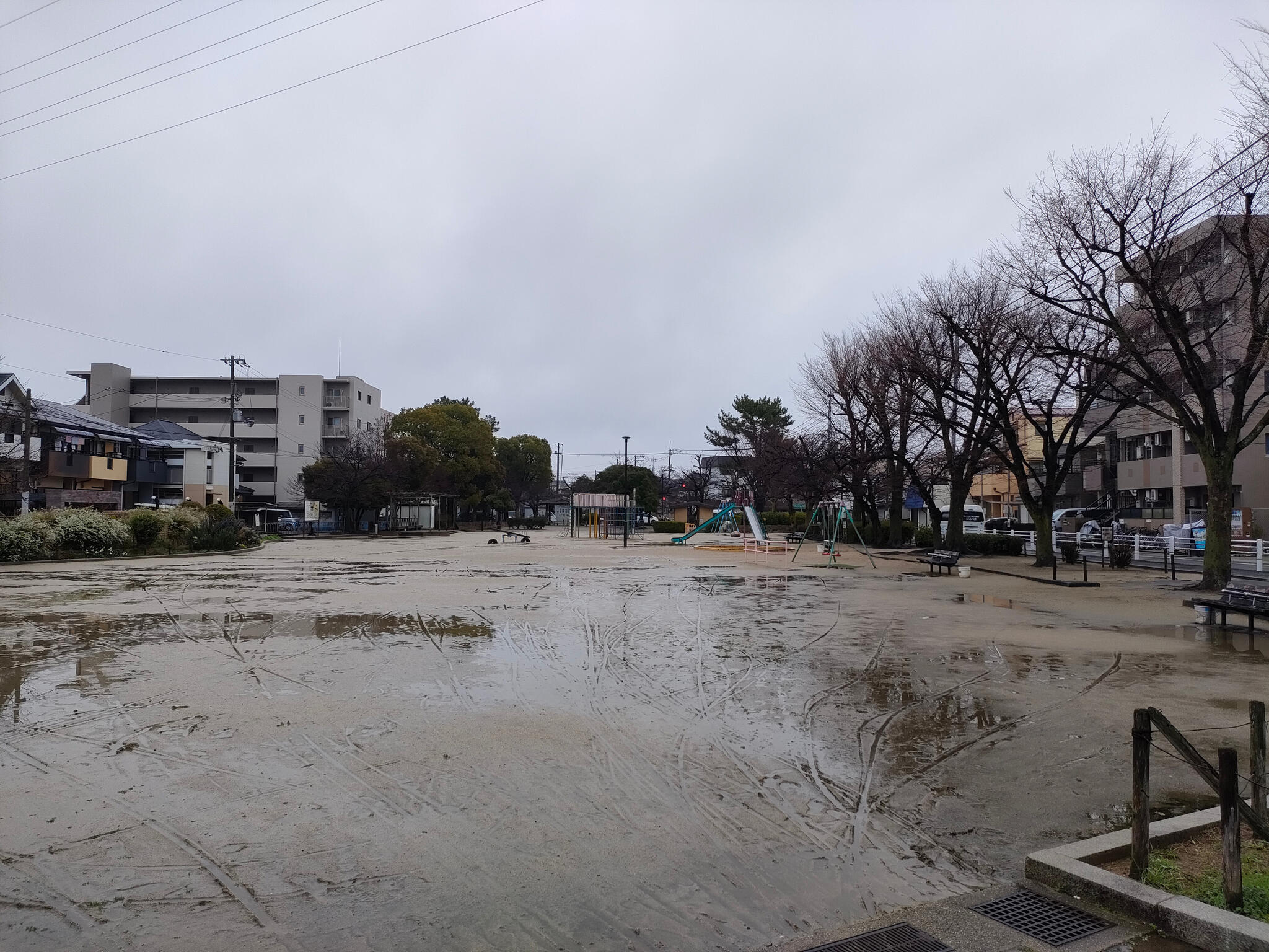 若松公園の代表写真7