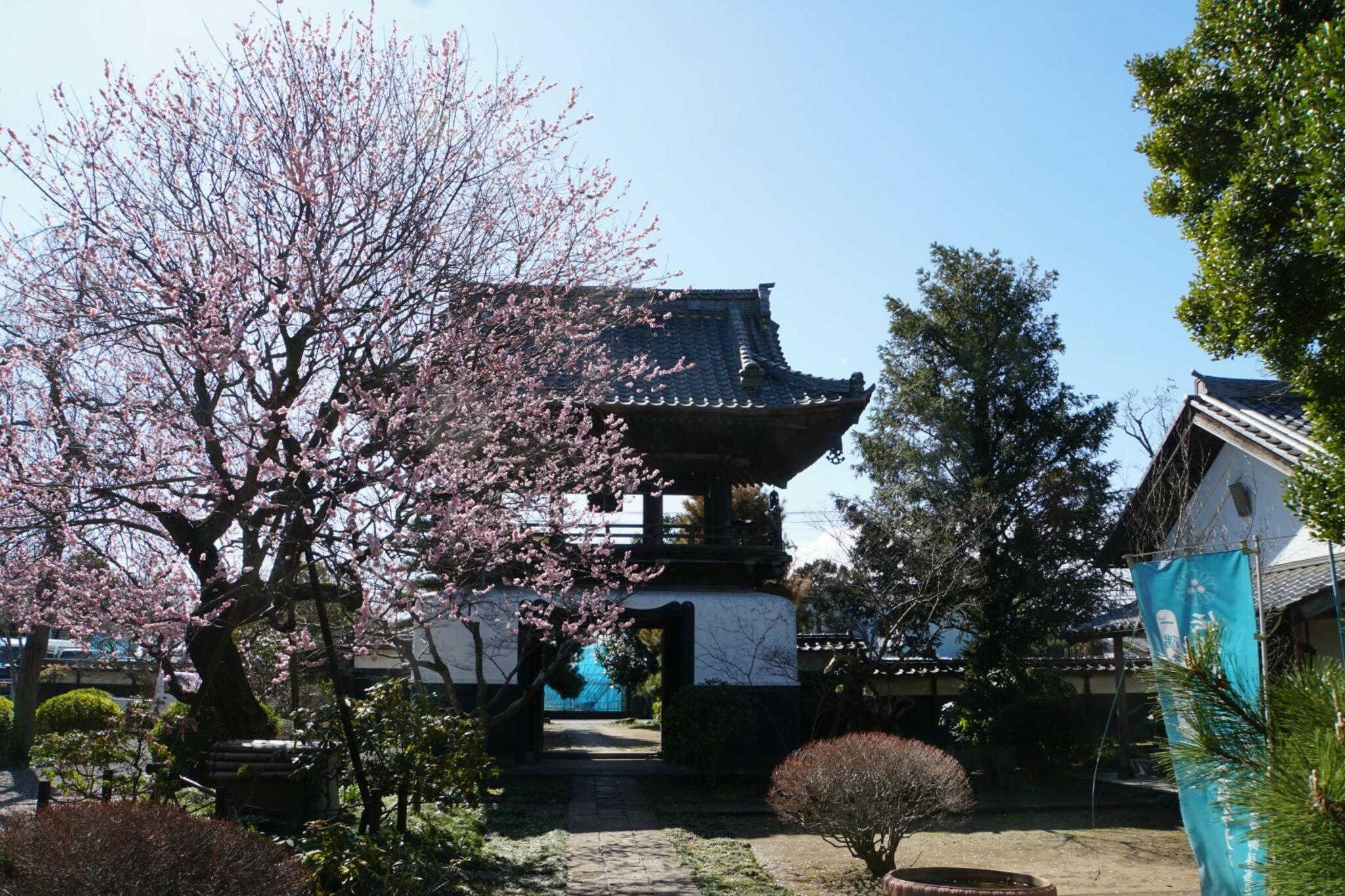 広福寺の代表写真4