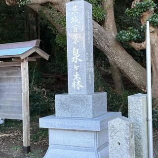 泉神社の写真18