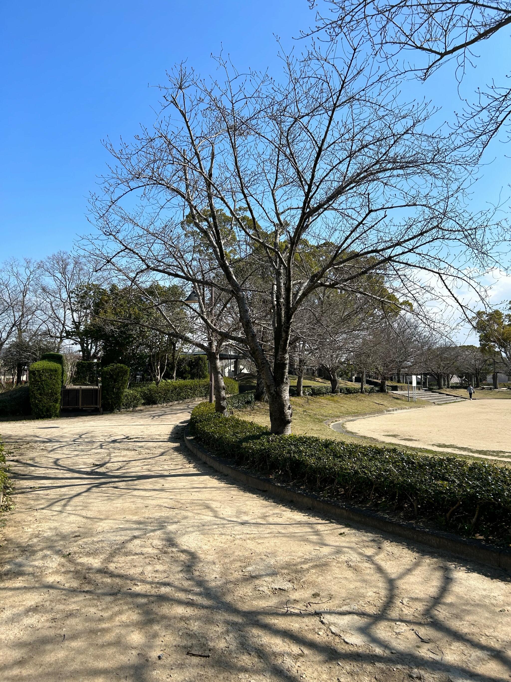 二日市公園の代表写真4