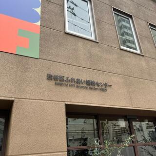 渋谷区ふれあい植物センターの写真12