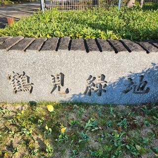 花博記念公園鶴見緑地の写真27