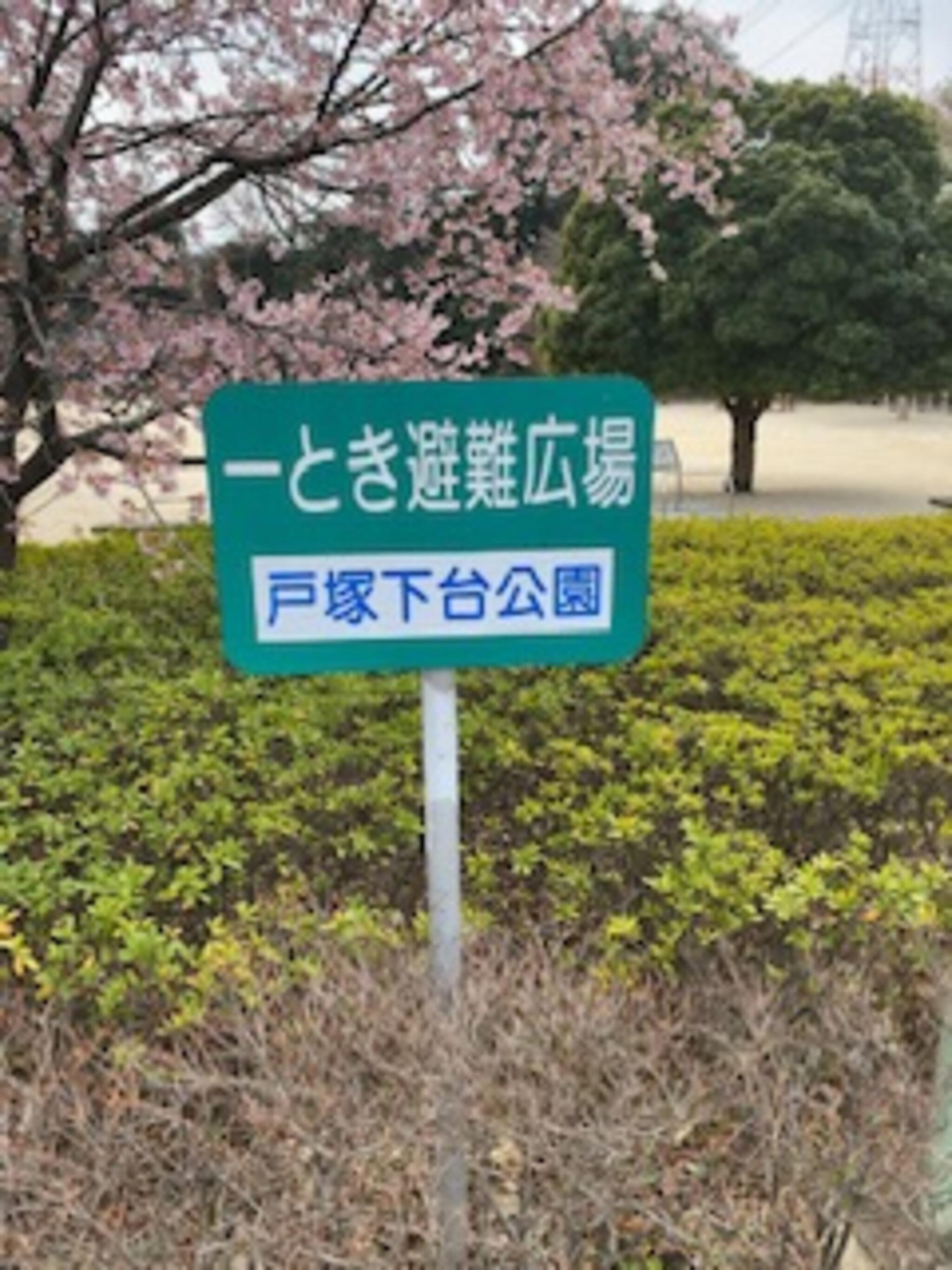 戸塚下台公園の代表写真3