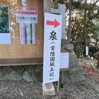 泉神社の写真17