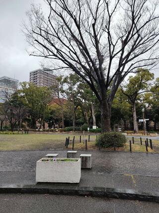 横浜公園のクチコミ写真1