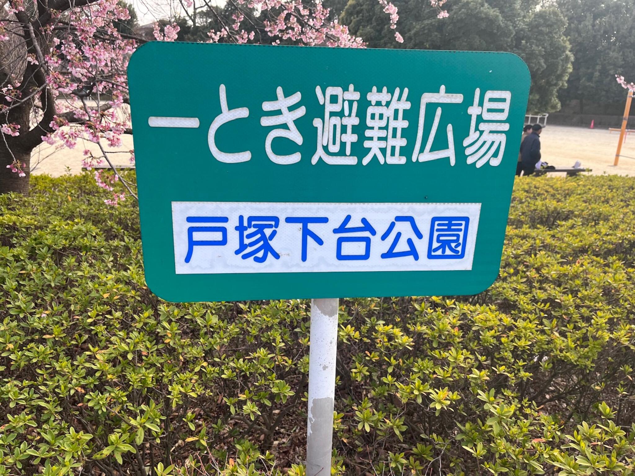 戸塚下台公園の代表写真8