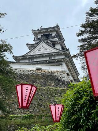 高知城のクチコミ写真1