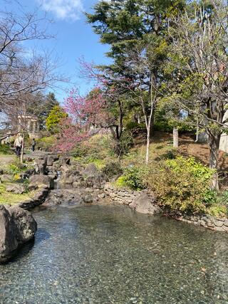 港の見える丘公園のクチコミ写真3