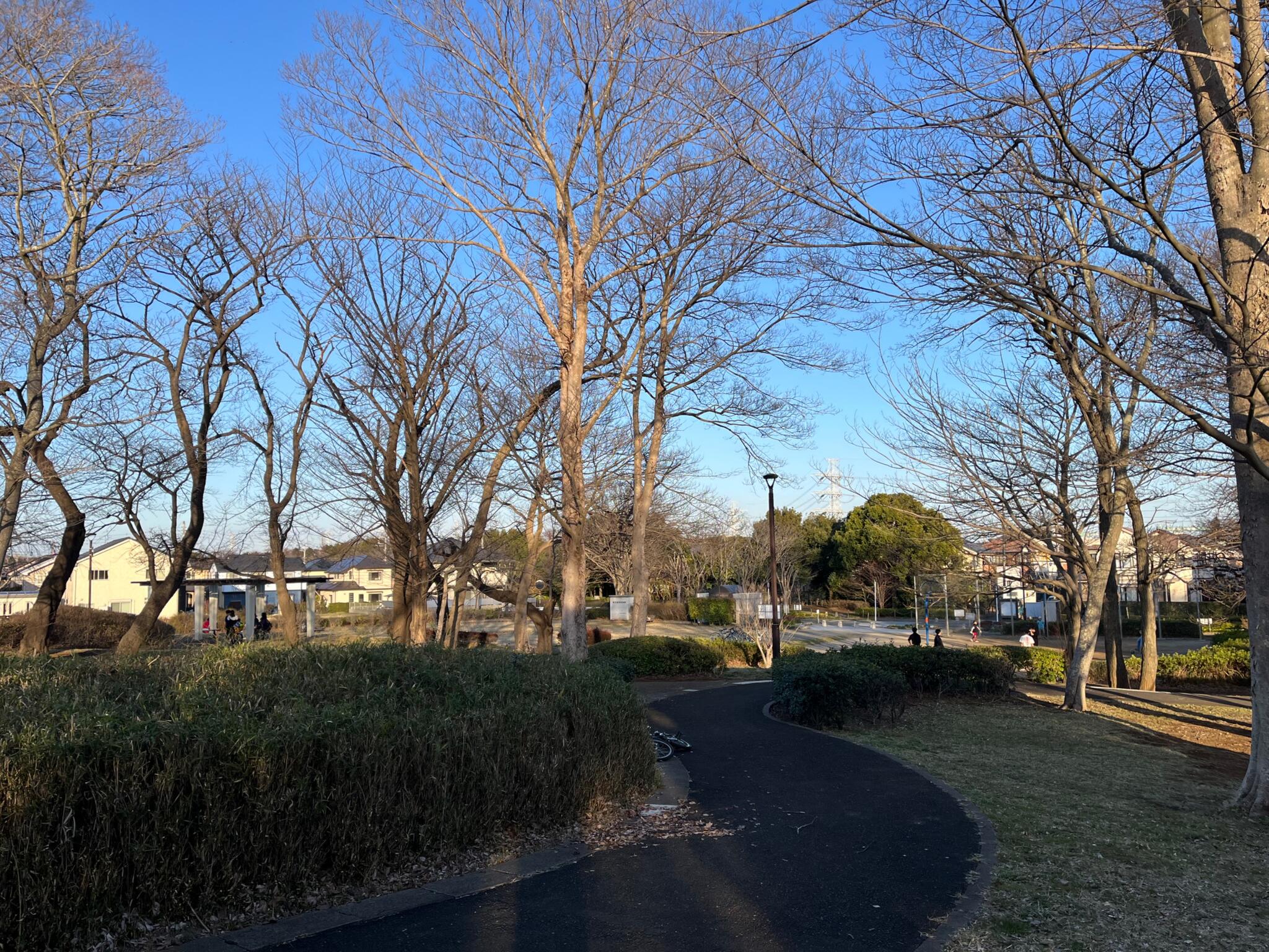 オファー み 春野 バス