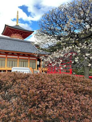 大本山 中山寺のクチコミ写真1