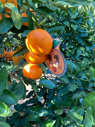 蒲郡オレンジパークのクチコミ写真1