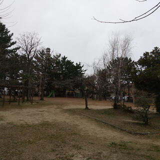 文京公園(新潟市中央区)の写真2