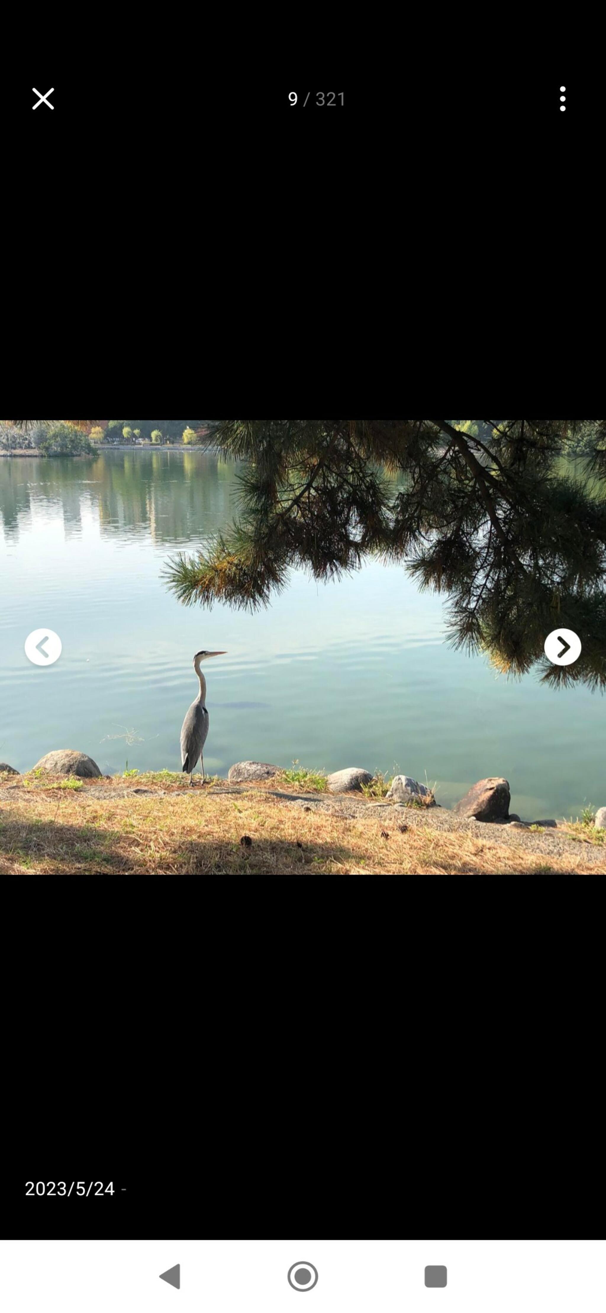 大濠公園の代表写真2