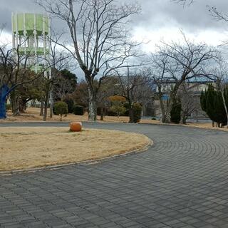 鶴山台惣ケ池公園の写真9