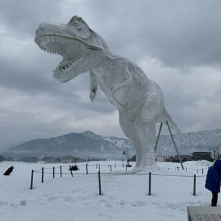 福井県立恐竜博物館の写真19