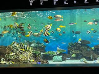新潟市水族館 マリンピア日本海のクチコミ写真4