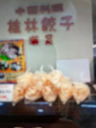 桂林餃子 満足 マリンピア店のクチコミ写真1