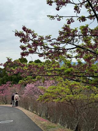 高知県立牧野植物園のクチコミ写真4