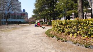 錦町公園のクチコミ写真3