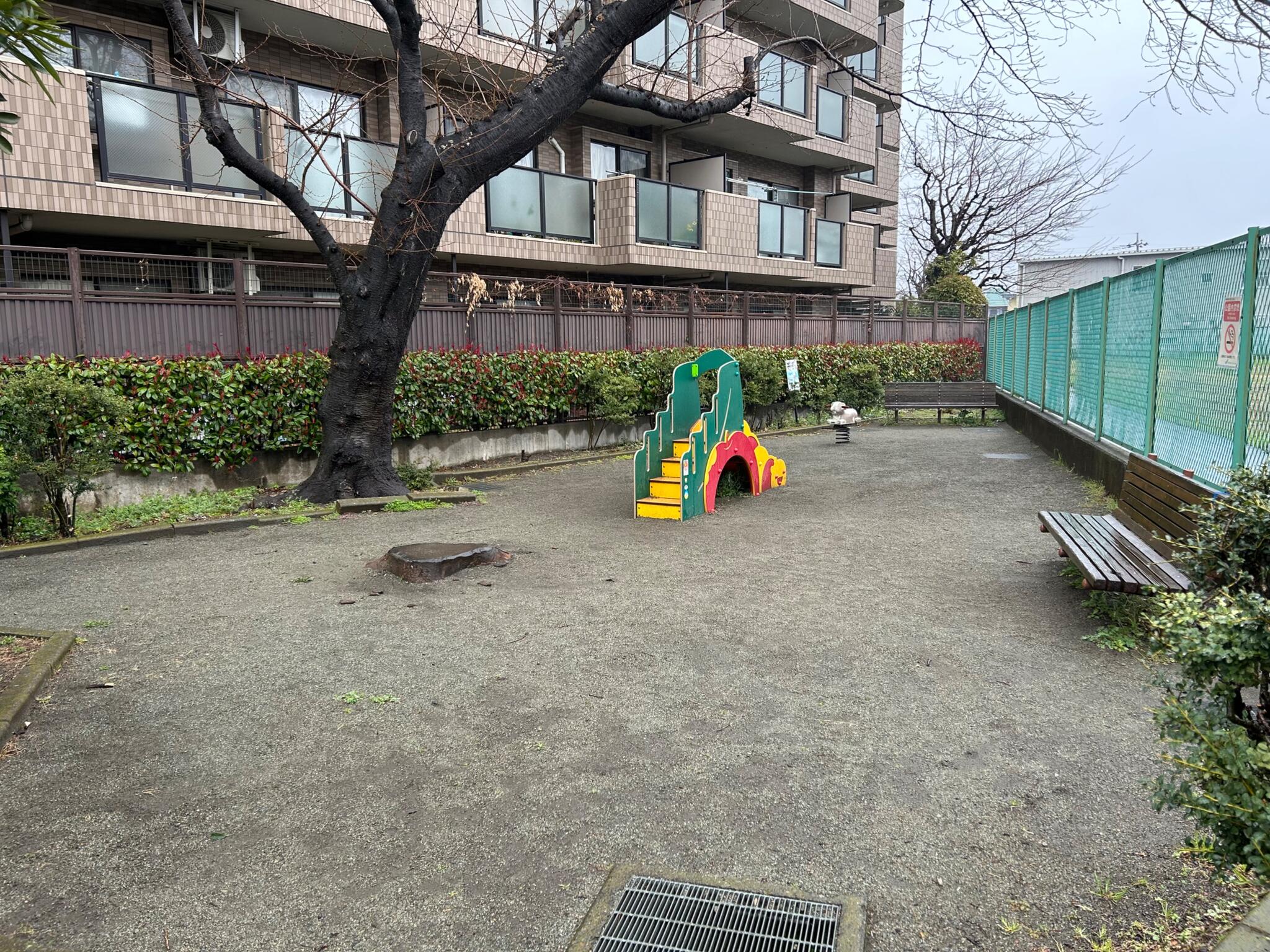 伊勢山公園の代表写真1