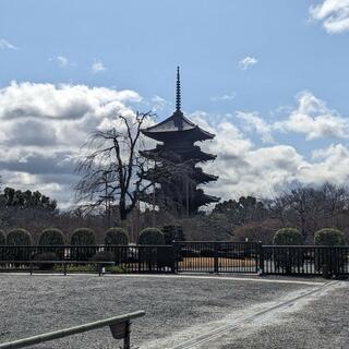 東寺の写真25