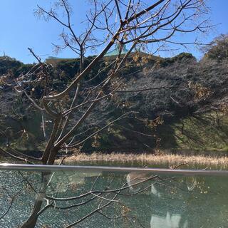 千代田区立九段坂公園の写真16