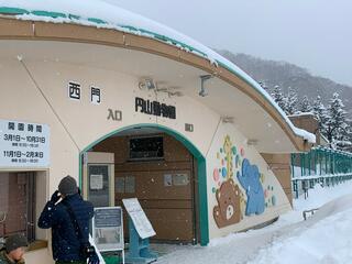 札幌市円山動物園のクチコミ写真1