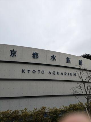 京都水族館のクチコミ写真1
