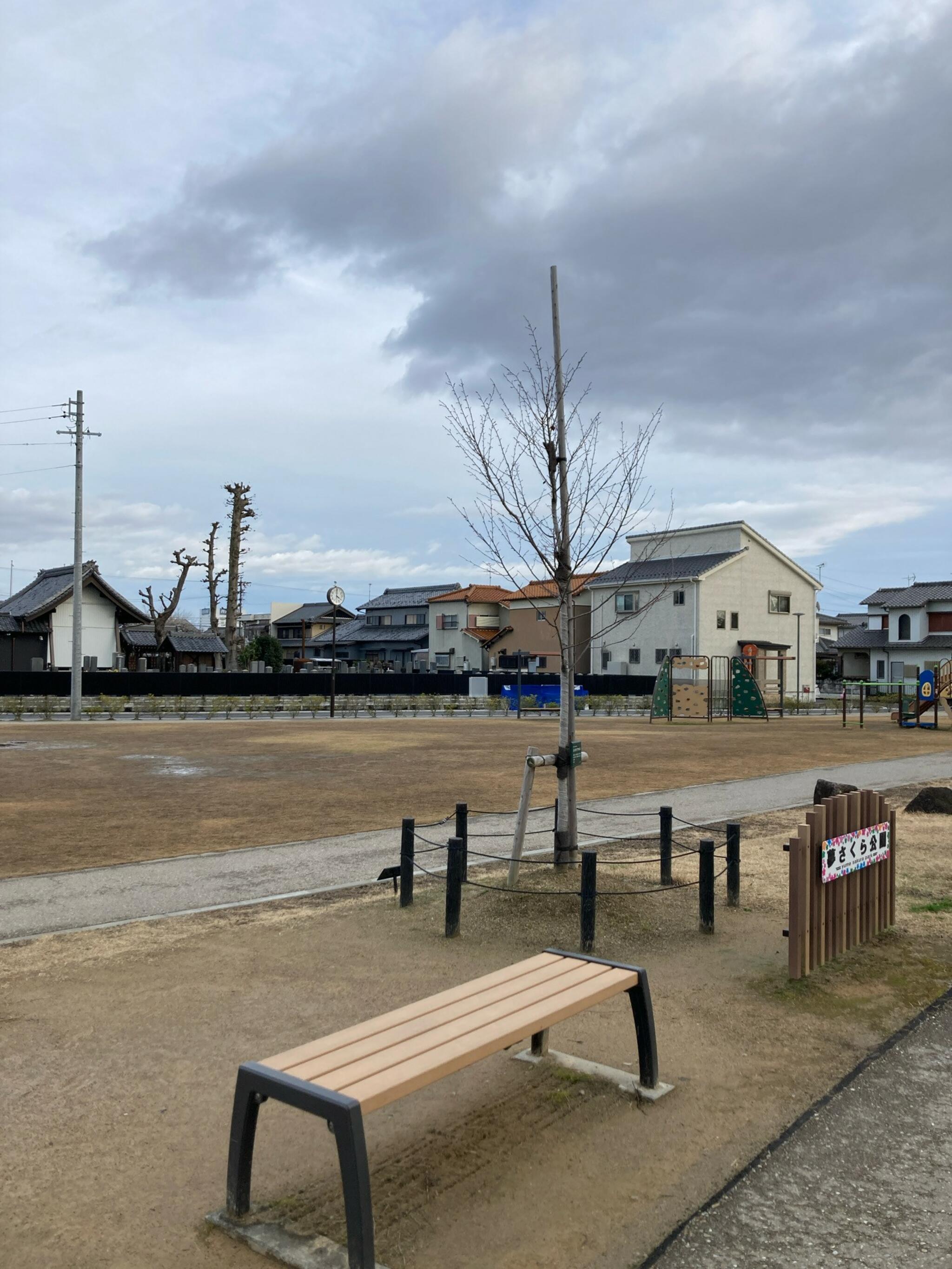 夢さくら公園の代表写真3