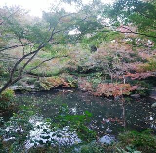 池田山公園のクチコミ写真3