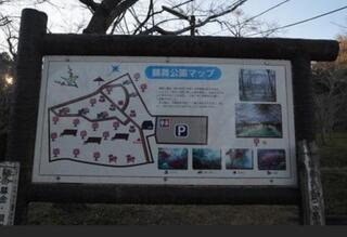 鶴舞公園のクチコミ写真2