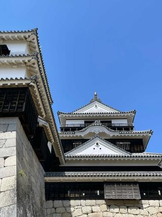 松山城のクチコミ写真1