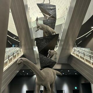 福井県立恐竜博物館の写真16