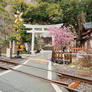 御霊神社の写真13