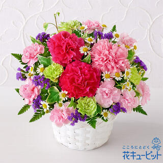 花キューピット フラワーパークヨシモトの写真2
