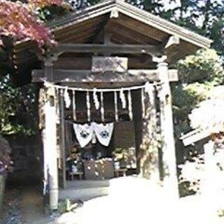 登渡神社の写真5