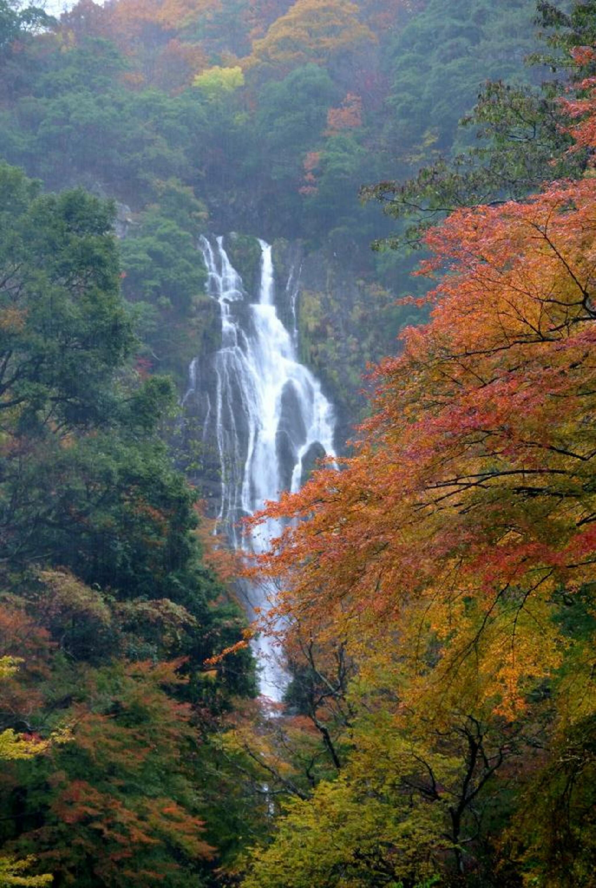 神庭の滝自然公園の代表写真5