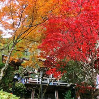 国民宿舎 古岩屋荘の写真9